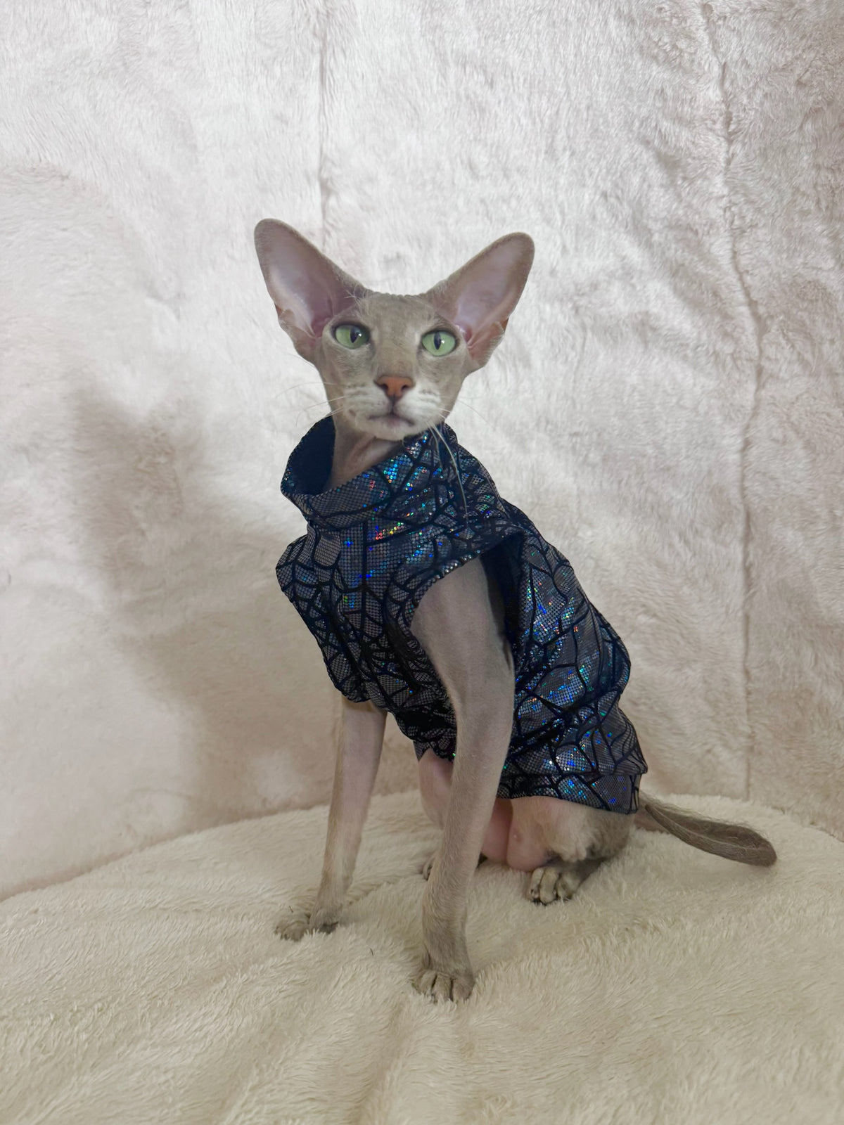 Midnight Weaver Fashion Shirt