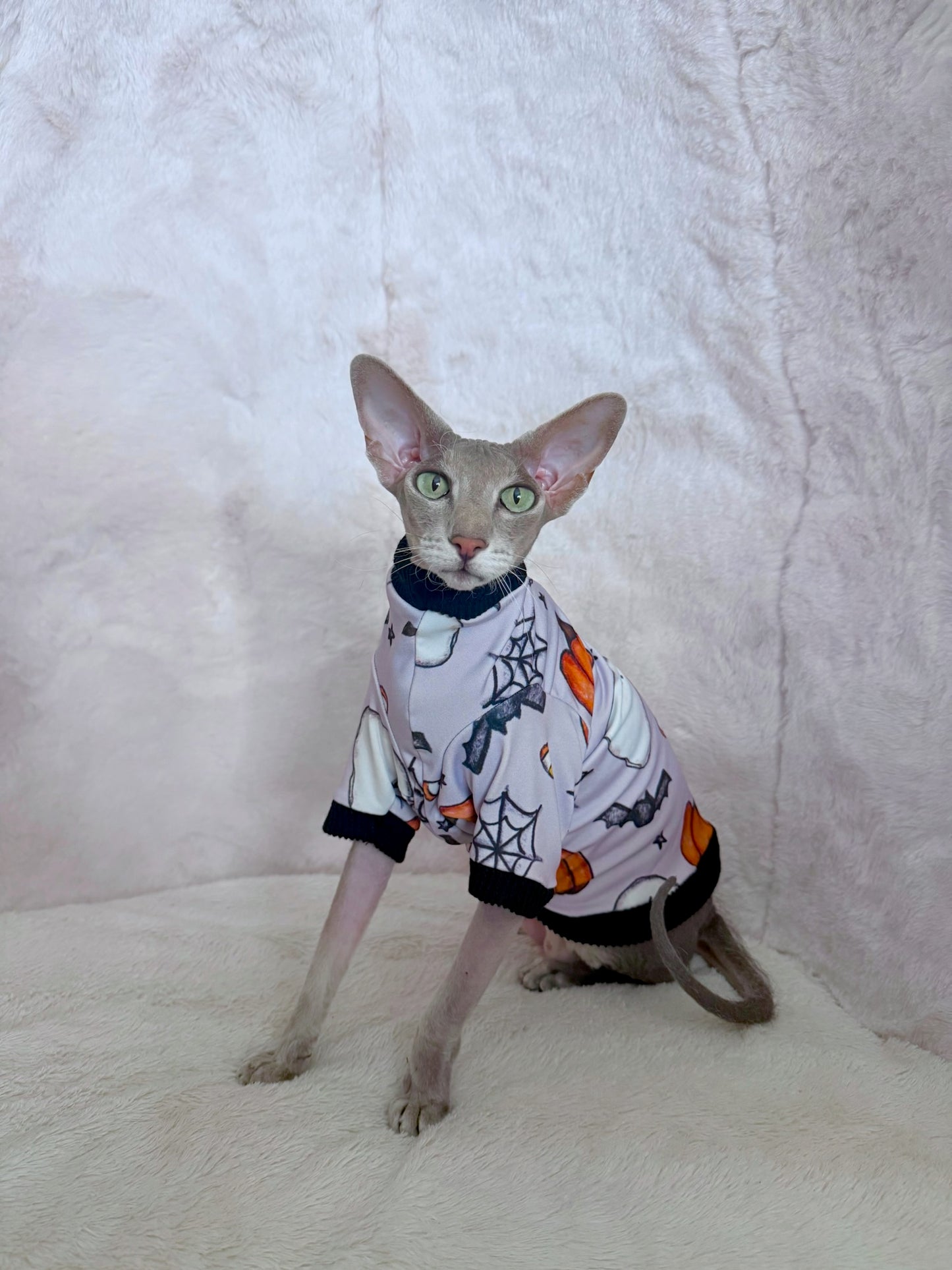 Haunted Harvest Long Sleeve Lightweight Sweatshirt