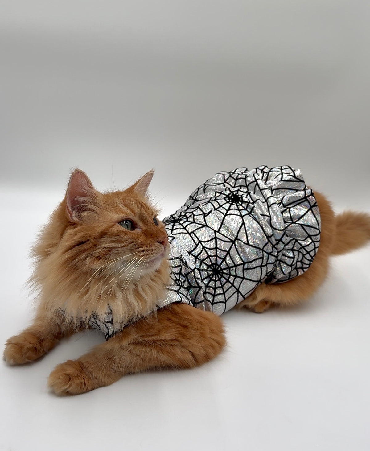 Chrome Crawler Ruffle Butt Fashion Shirt (Any Arm Style)