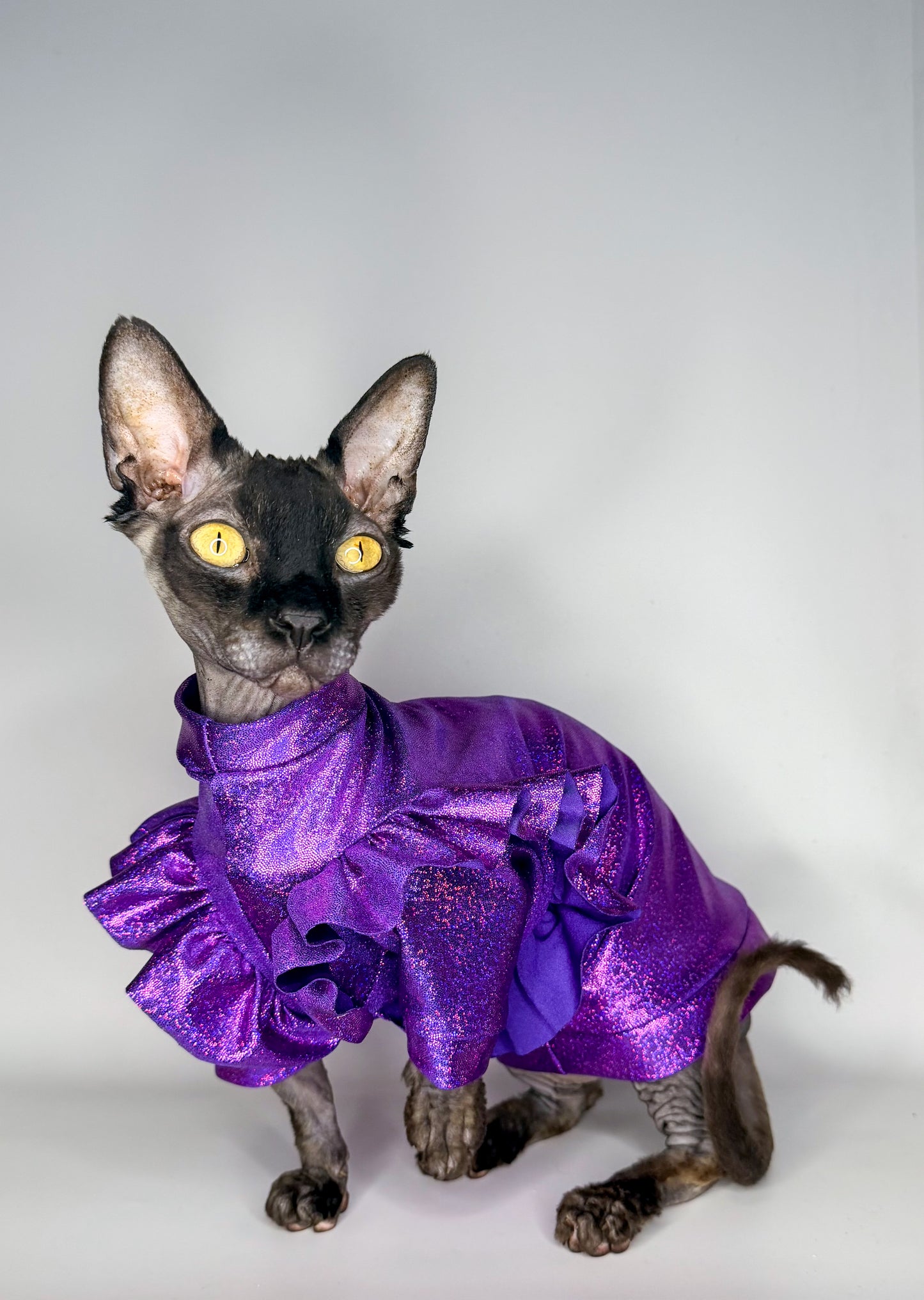Purple Rain Wrinklebottom Sleeve Fashion Shirt