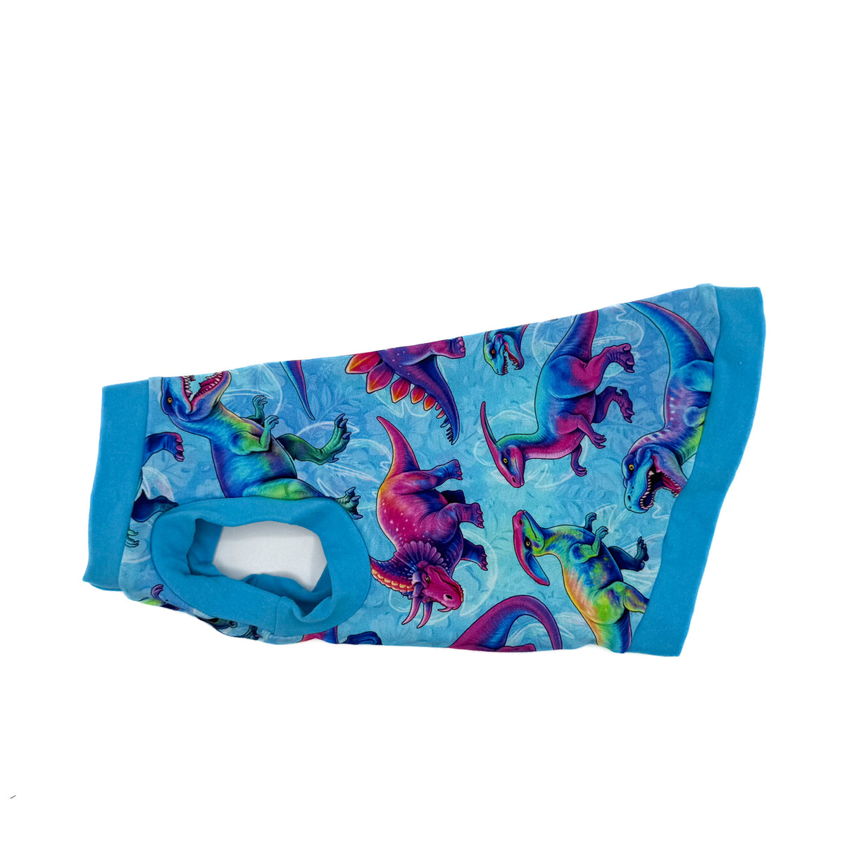 Dino Shirt