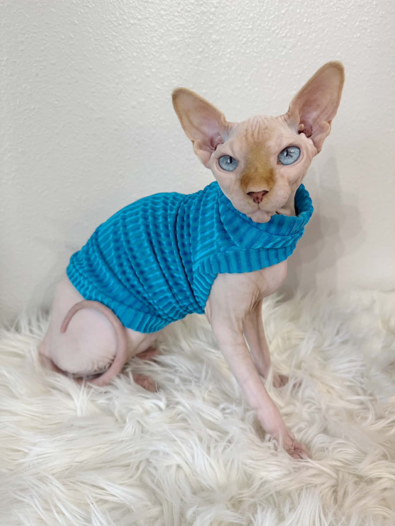 Aqua After Party Ribbed Velvet Shirt with One Arm Hole