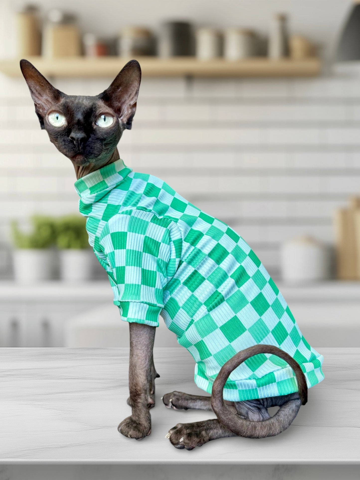 Lucky Checks Long Sleeve Ribbed Shirt