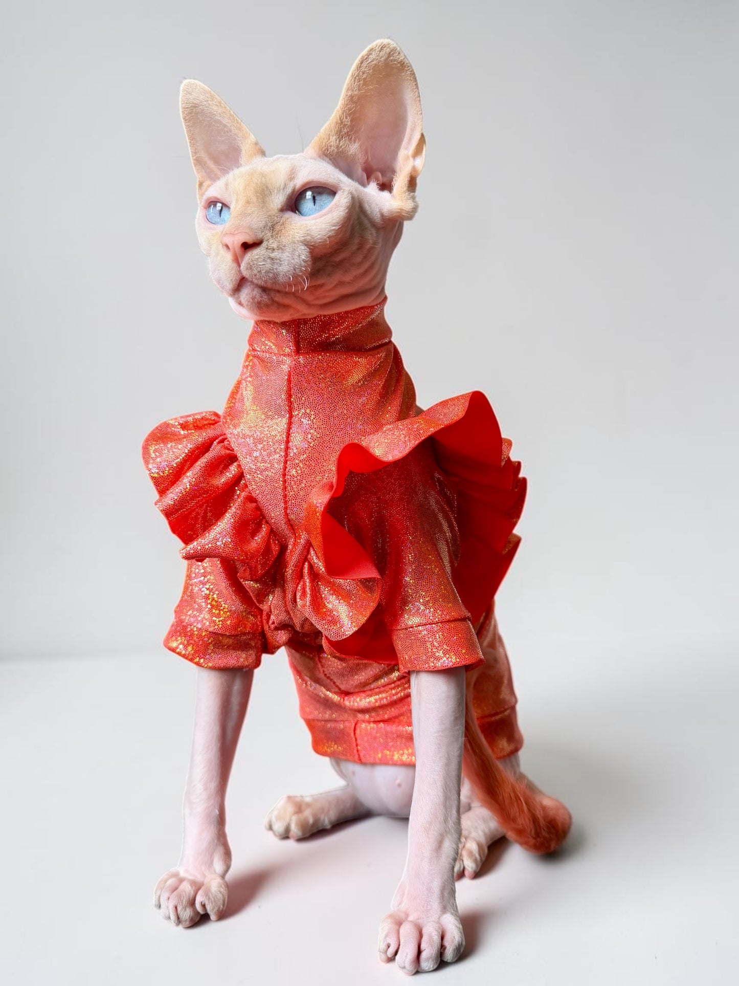 Tangerine Tango Wrinklebottom Sleeve Fashion Shirt