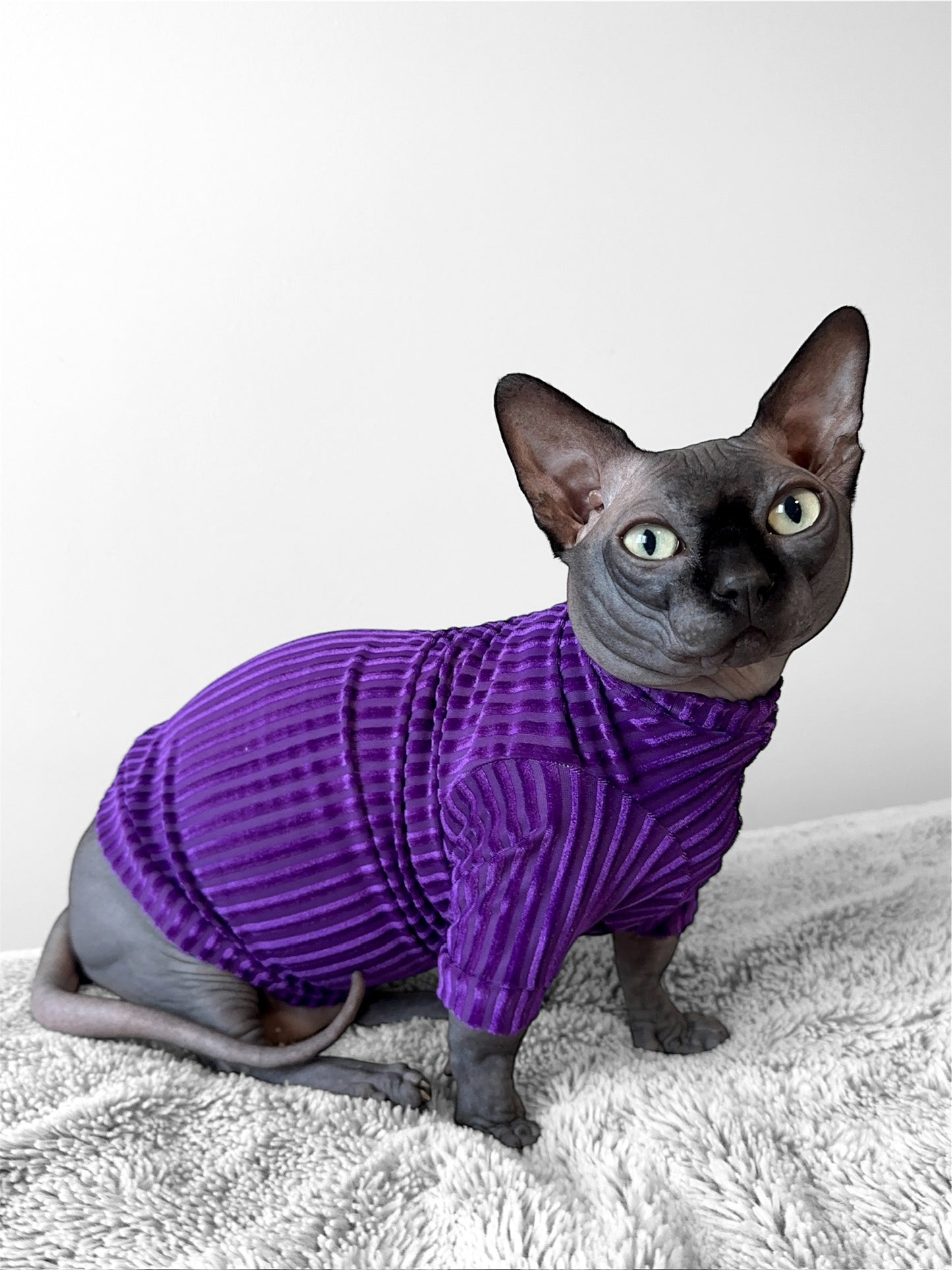 Royal Cantina Long Sleeve Ribbed Velvet Shirt
