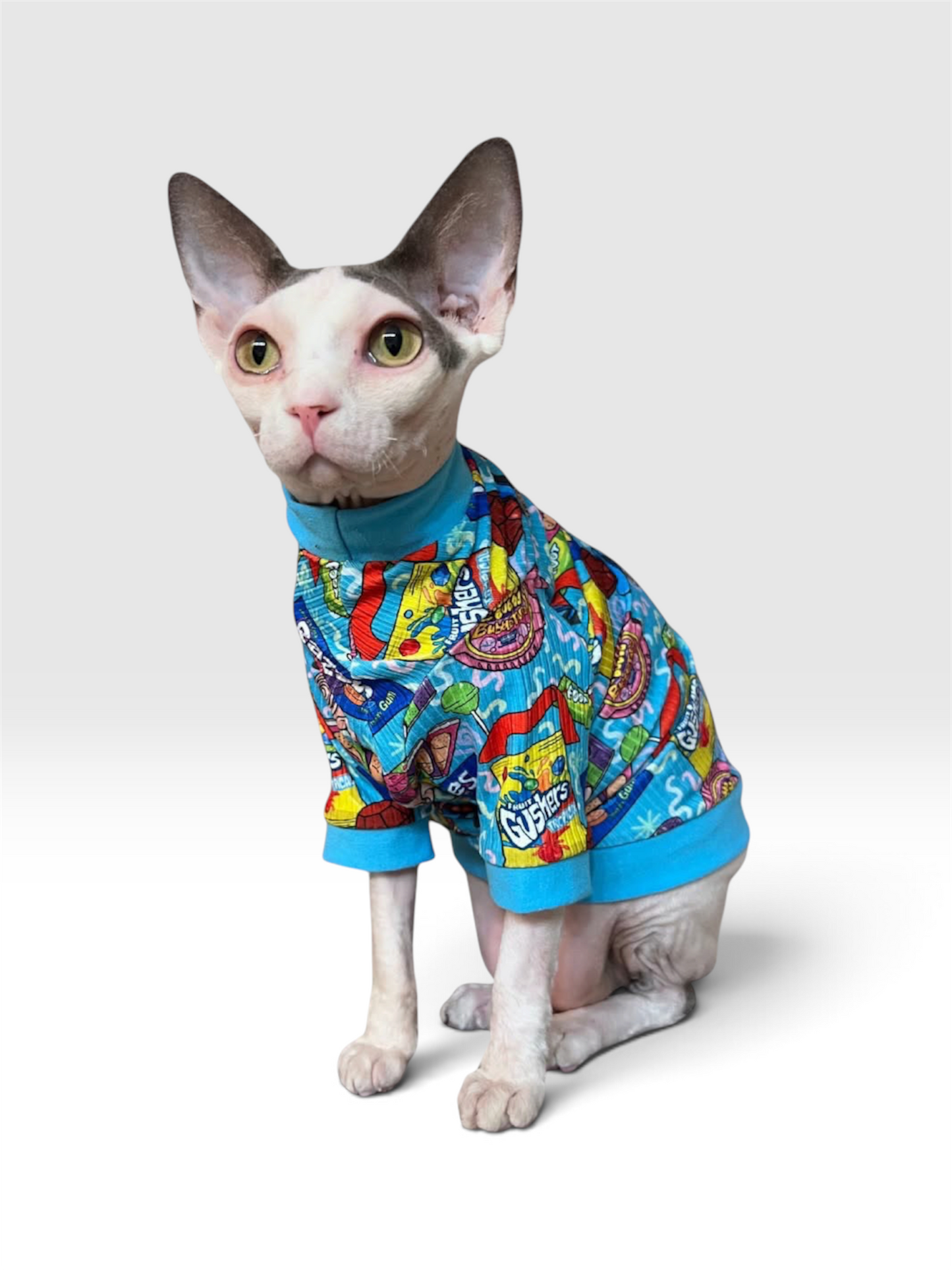 Sweet Nostalgia Long Sleeve Ribbed Shirt