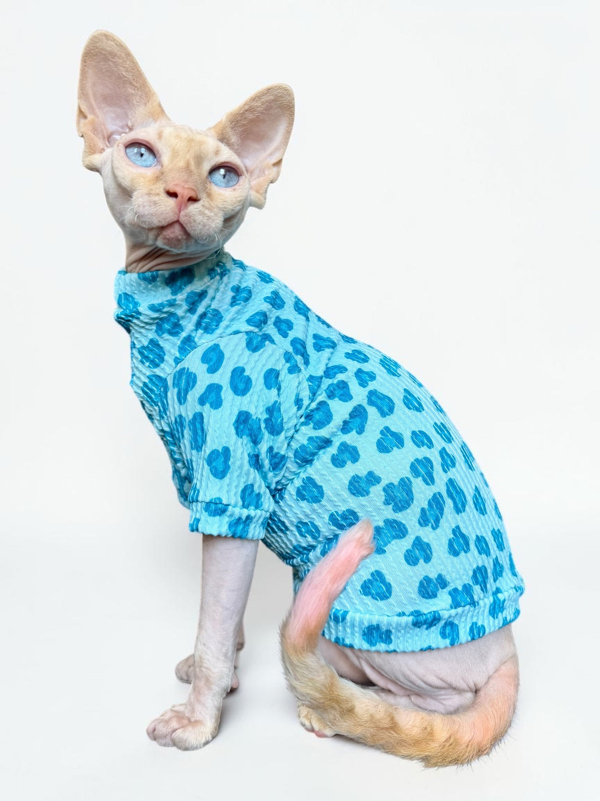 Blue Razz Leopard Long Sleeve Chunky Ribbed Shirt