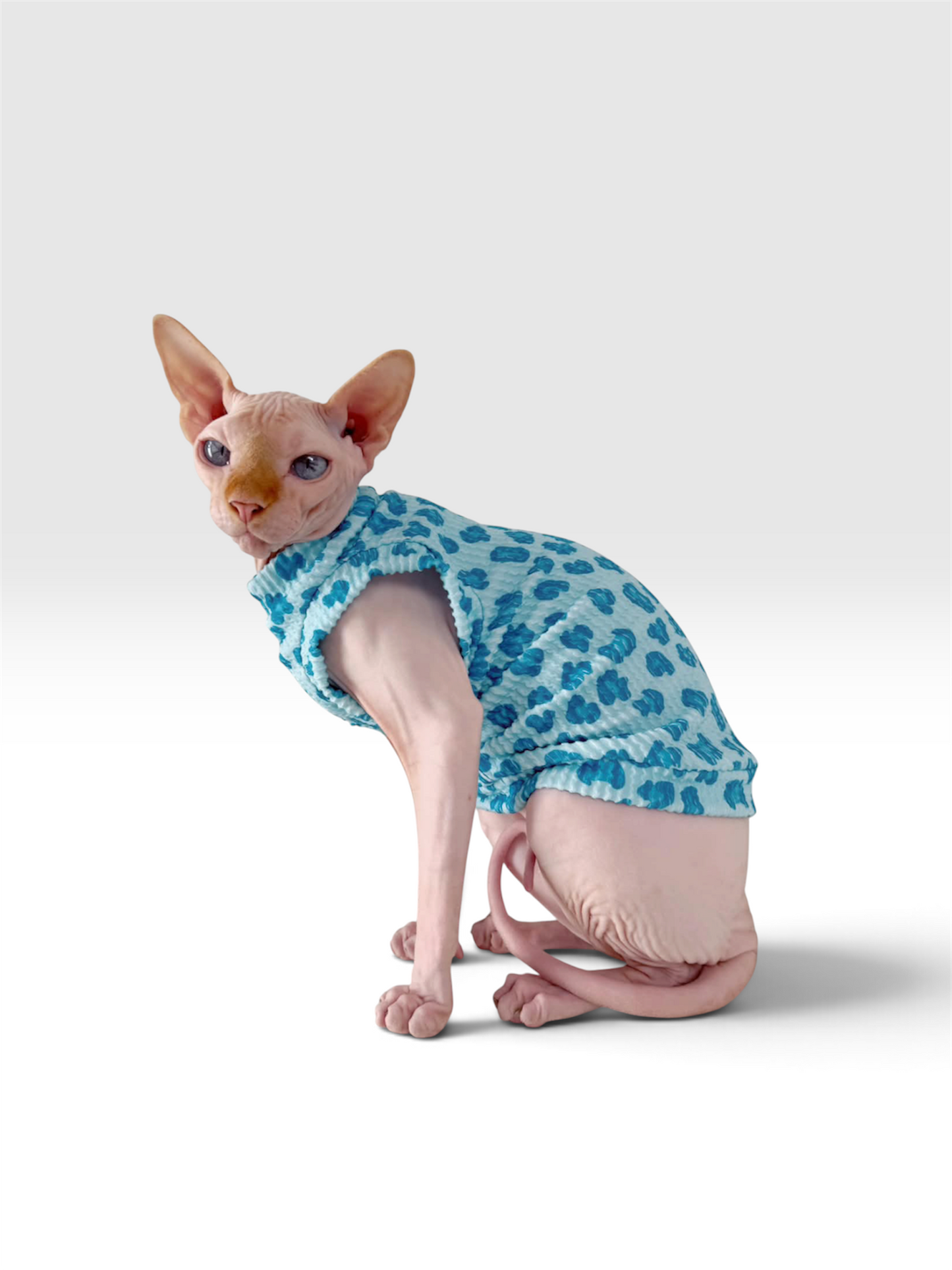 Blue Razz Leopard Chunky Ribbed Shirt