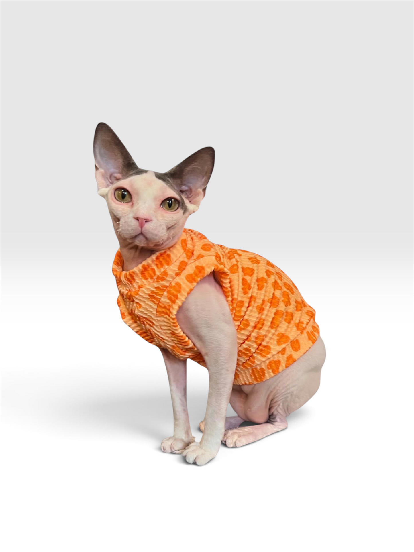 Creamsicle Leopard Chunky Ribbed Shirt