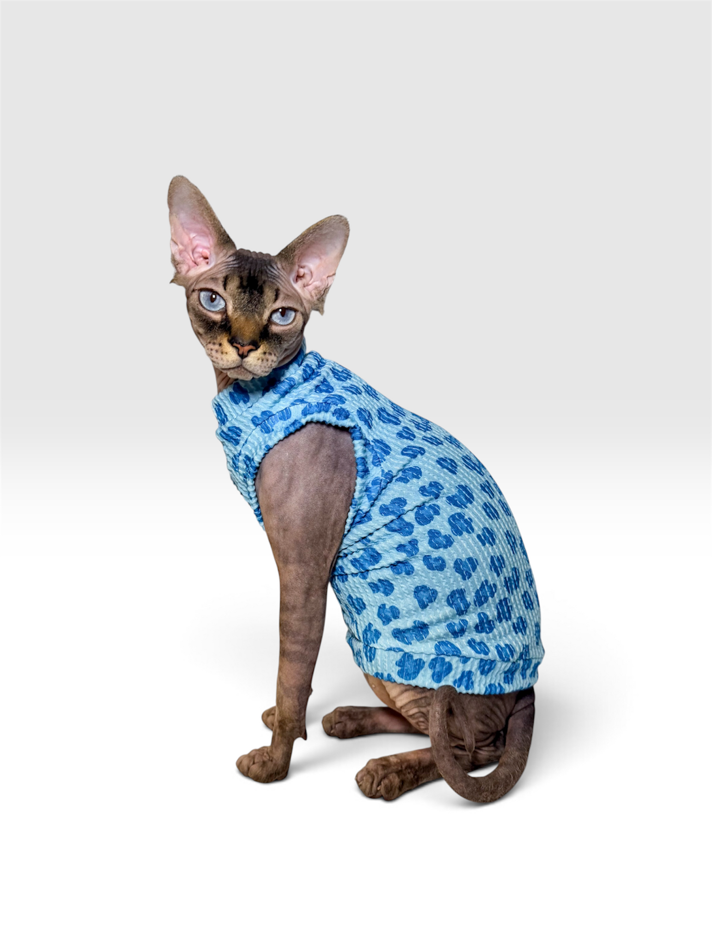 Blue Razz Leopard Chunky Ribbed Shirt