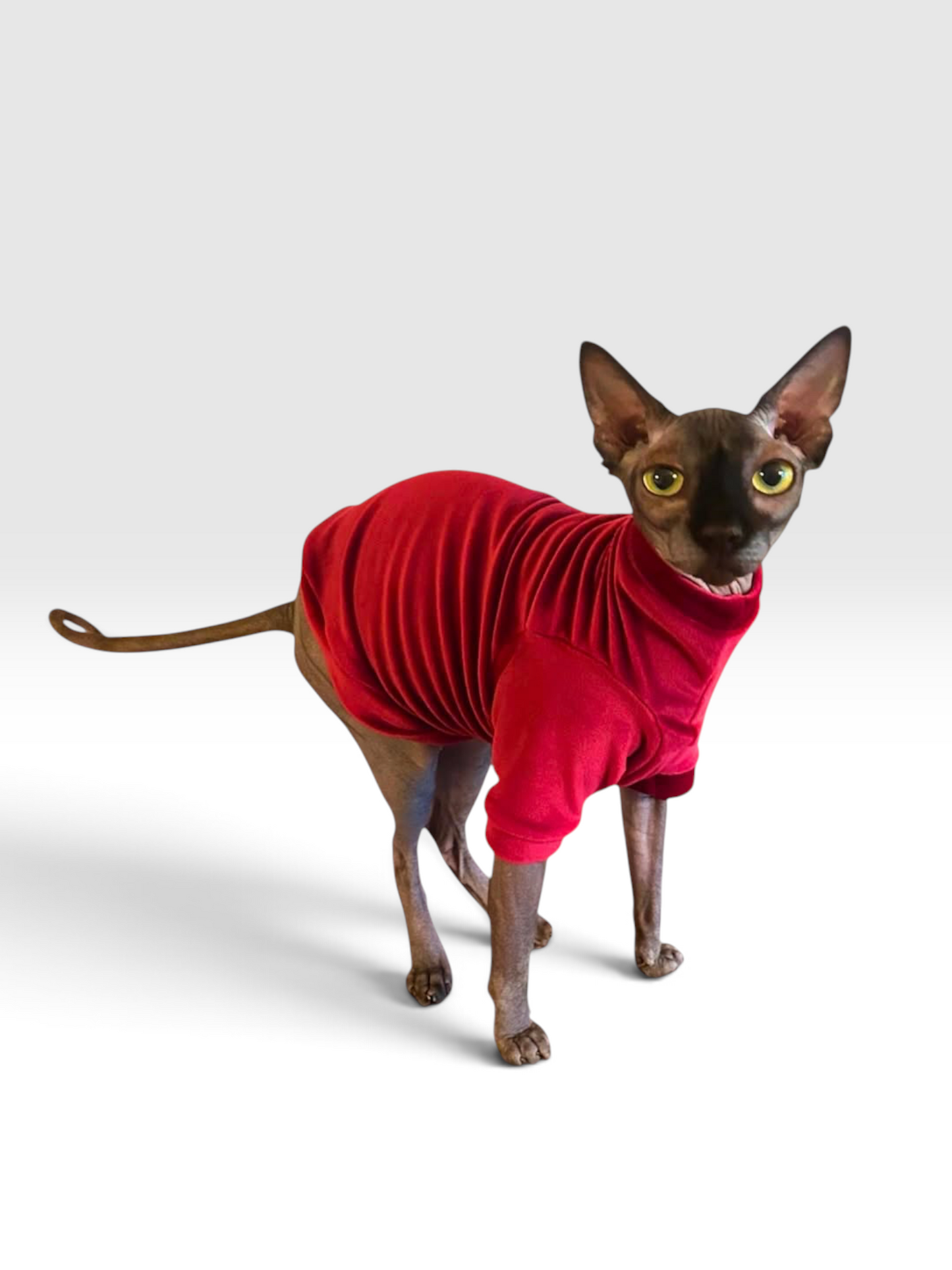 Sangria Long Sleeve Plush Velvet Shirt