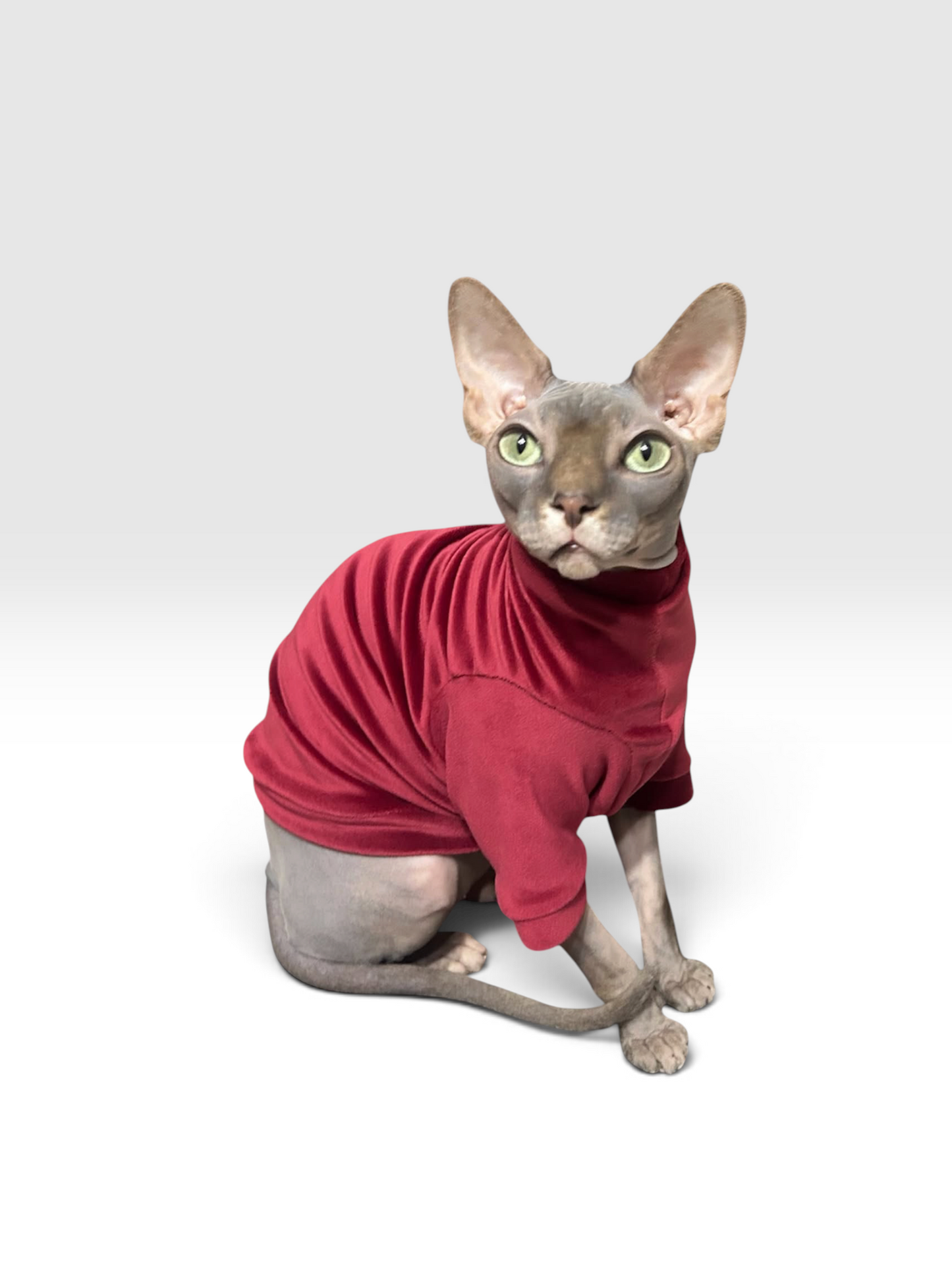 Sangria Long Sleeve Plush Velvet Shirt