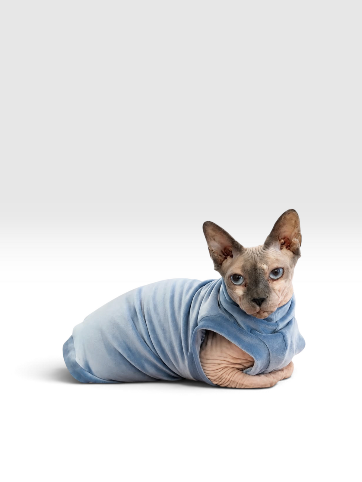 Denim Plush Velvet Shirt