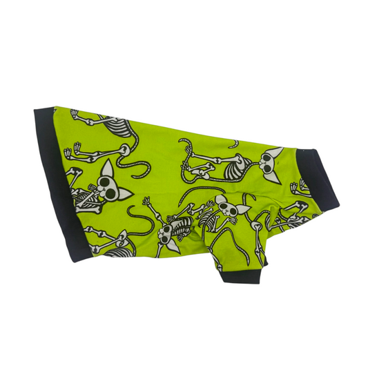 Bare Bones Long Sleeve Organic Cotton Shirt