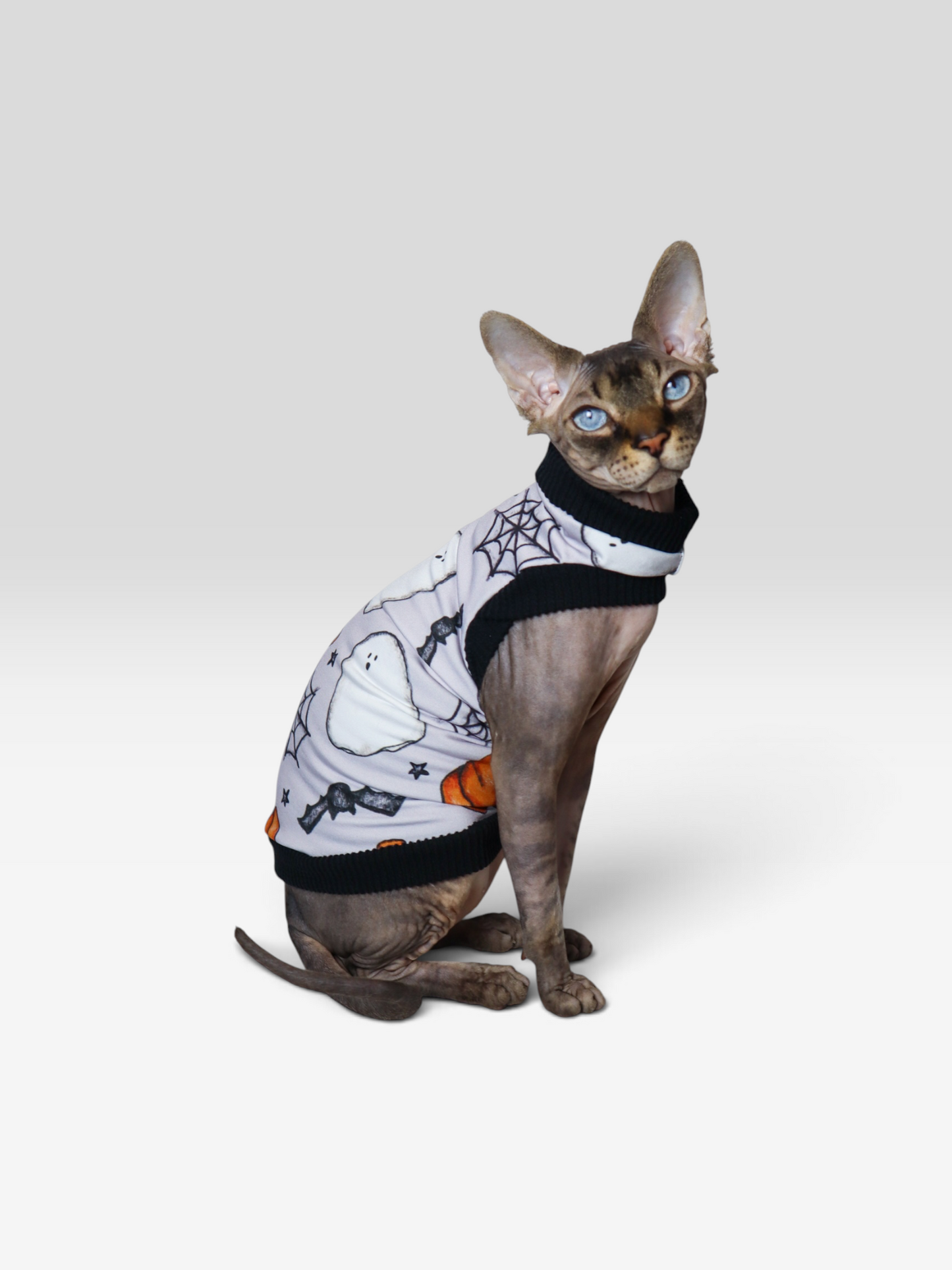 Haunted Harvest Lightweight Sweatshirt with One Arm Hole