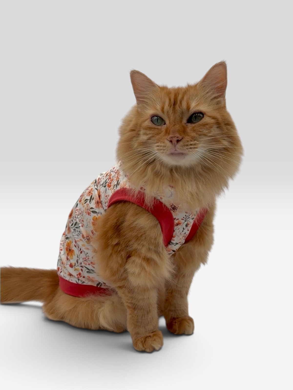 Autumn Bloom Everyday Shirt