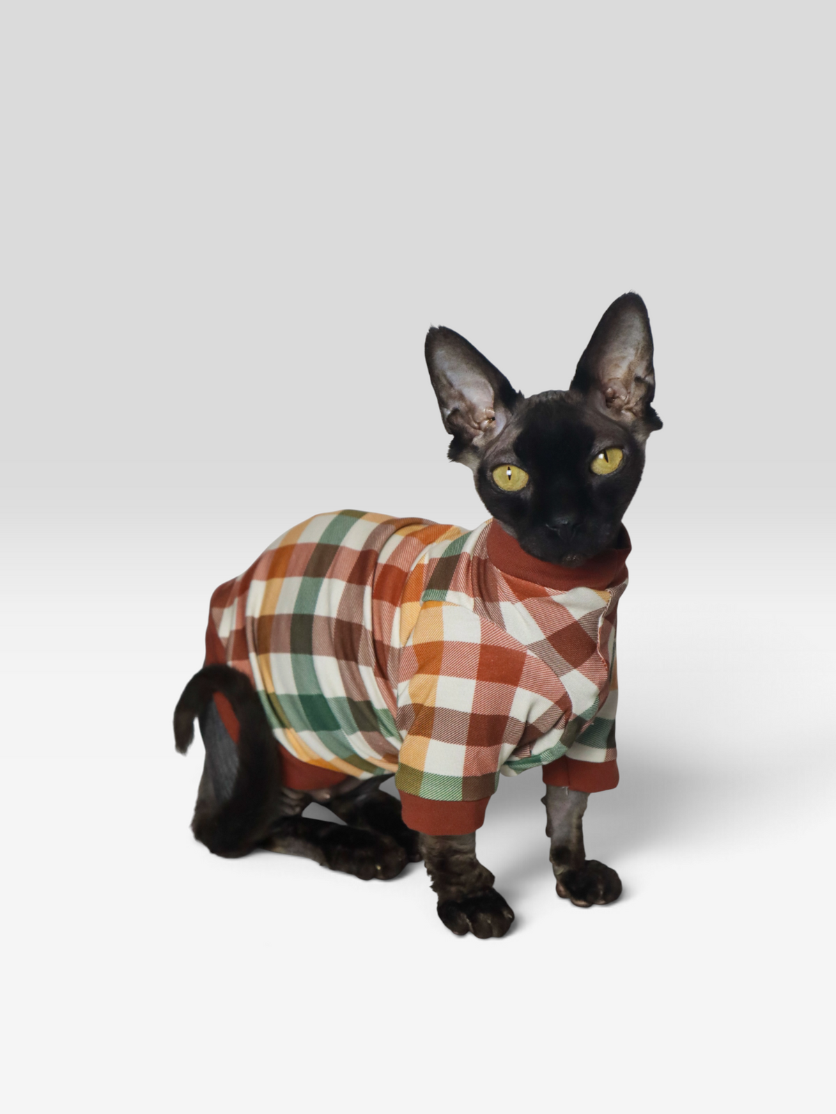 Cider Season Long Sleeve Everyday Shirt