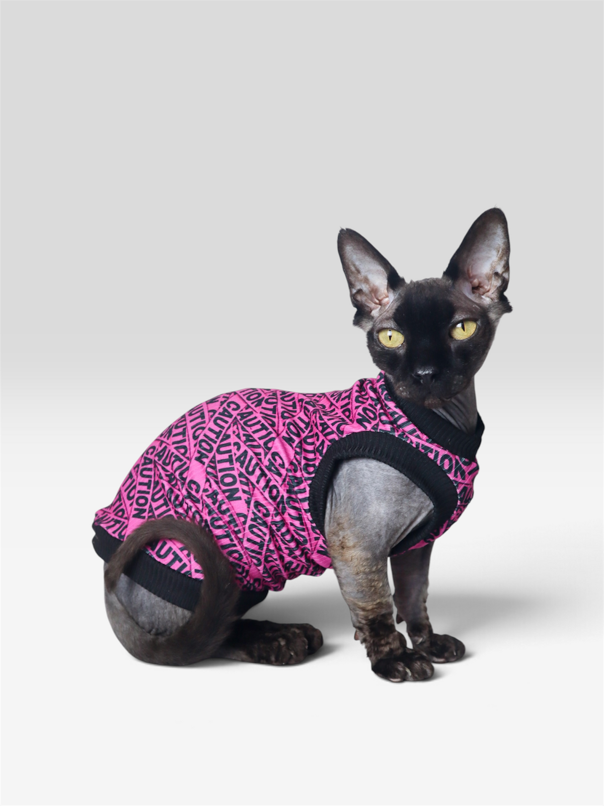 CAUTION: Regina Energy Ribbed Shirt