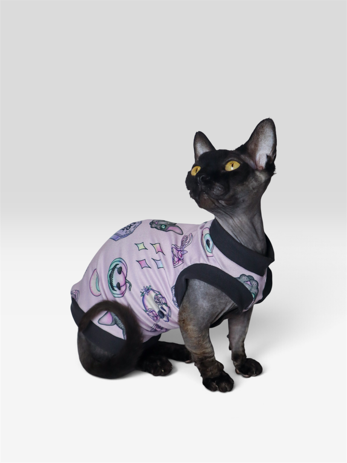 You Can't Meow With Us Butter Knit Shirt