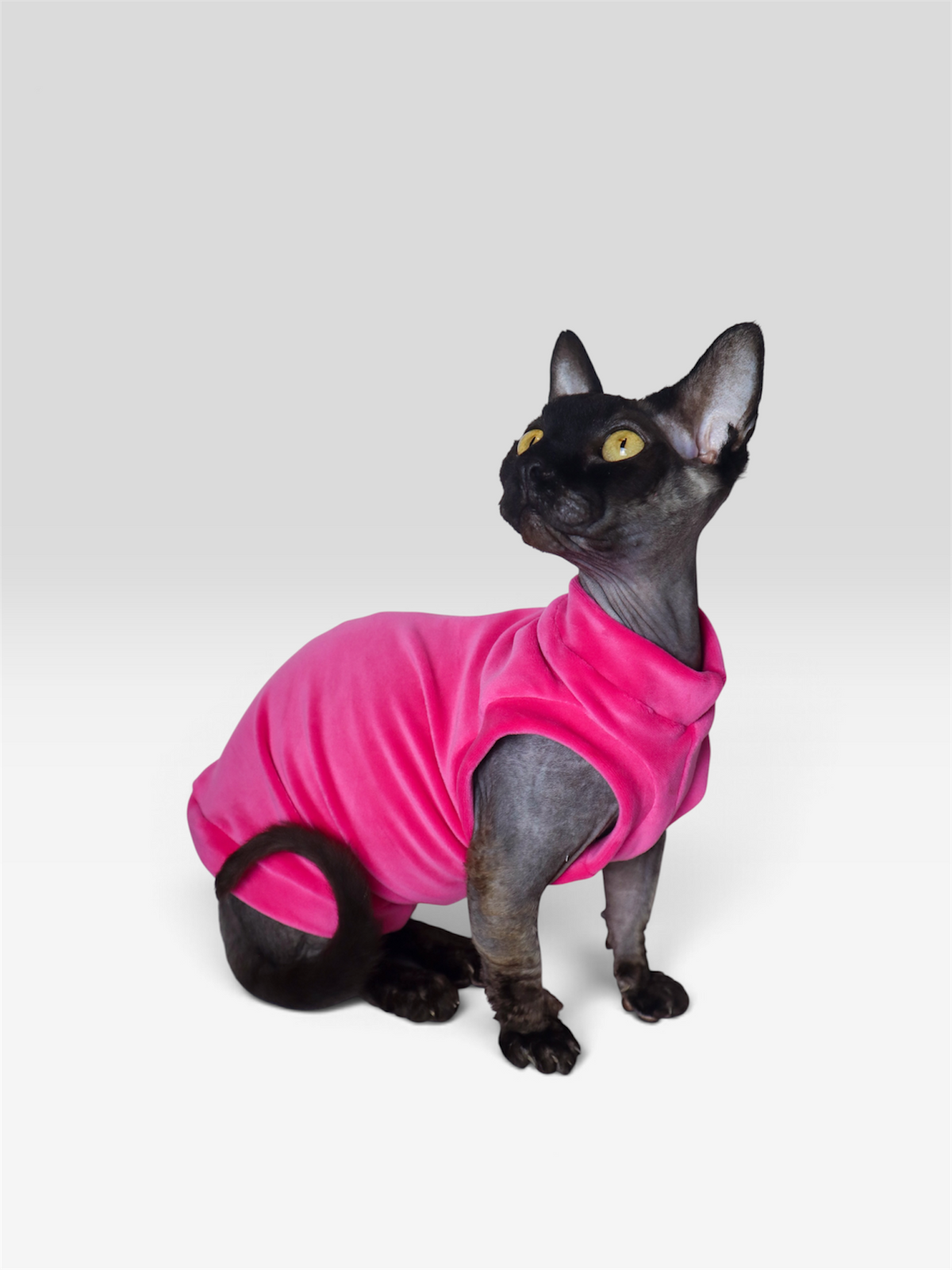 Spring Fling Queen Plush Velvet Shirt