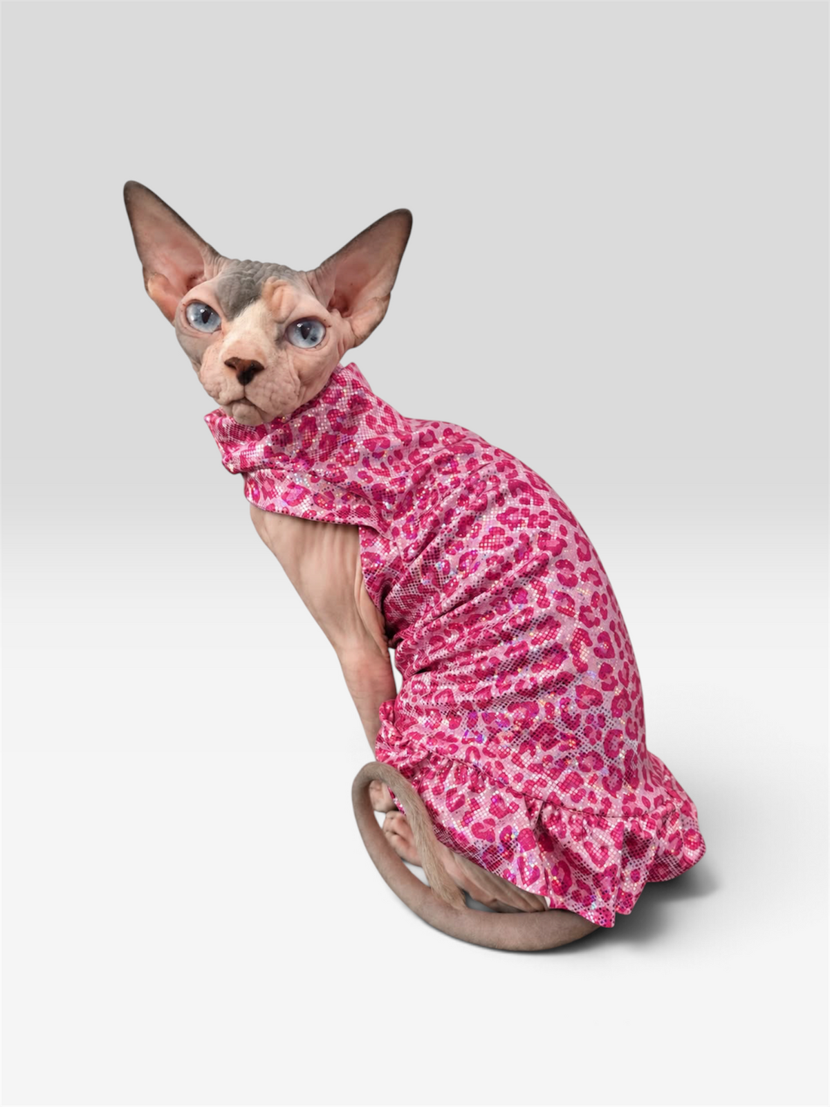 I'm A Cool Cat Ruffle Butt Fashion Shirt (One or Two Arm Hole)