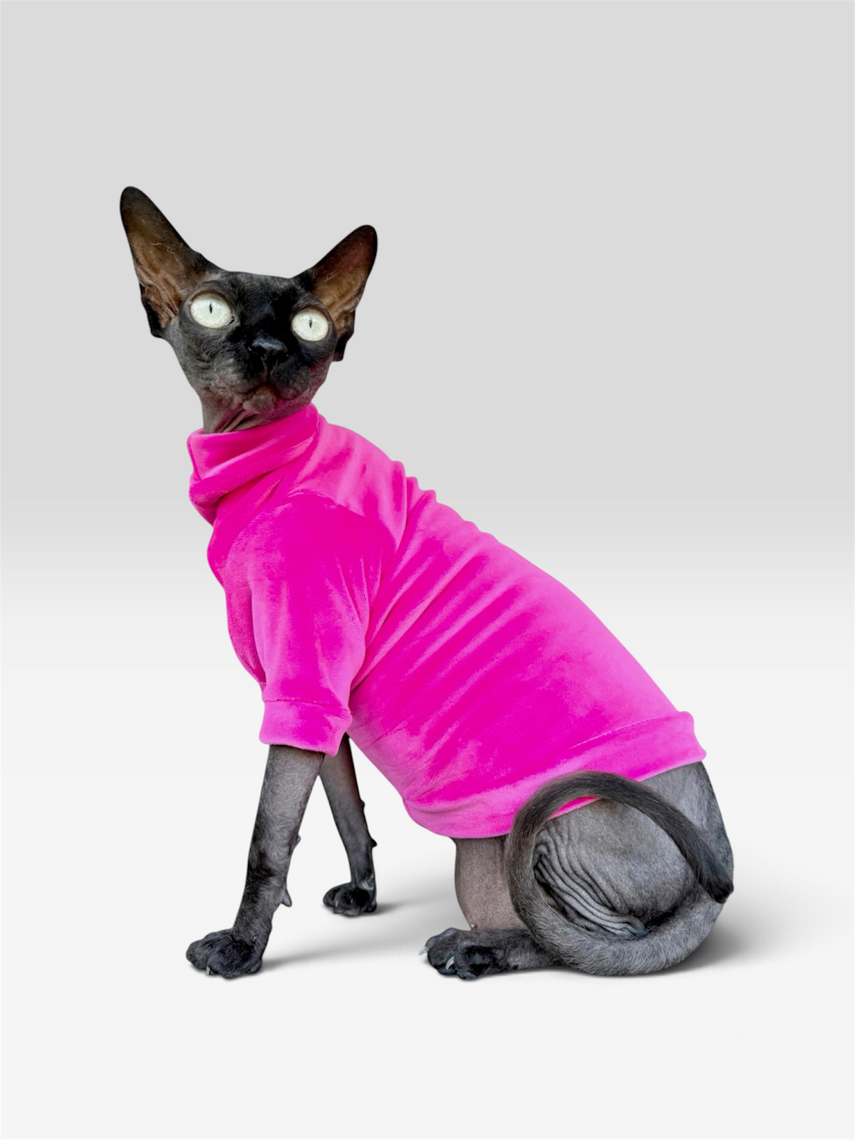 Spring Fling Queen Long Sleeve Plush Velvet Shirt