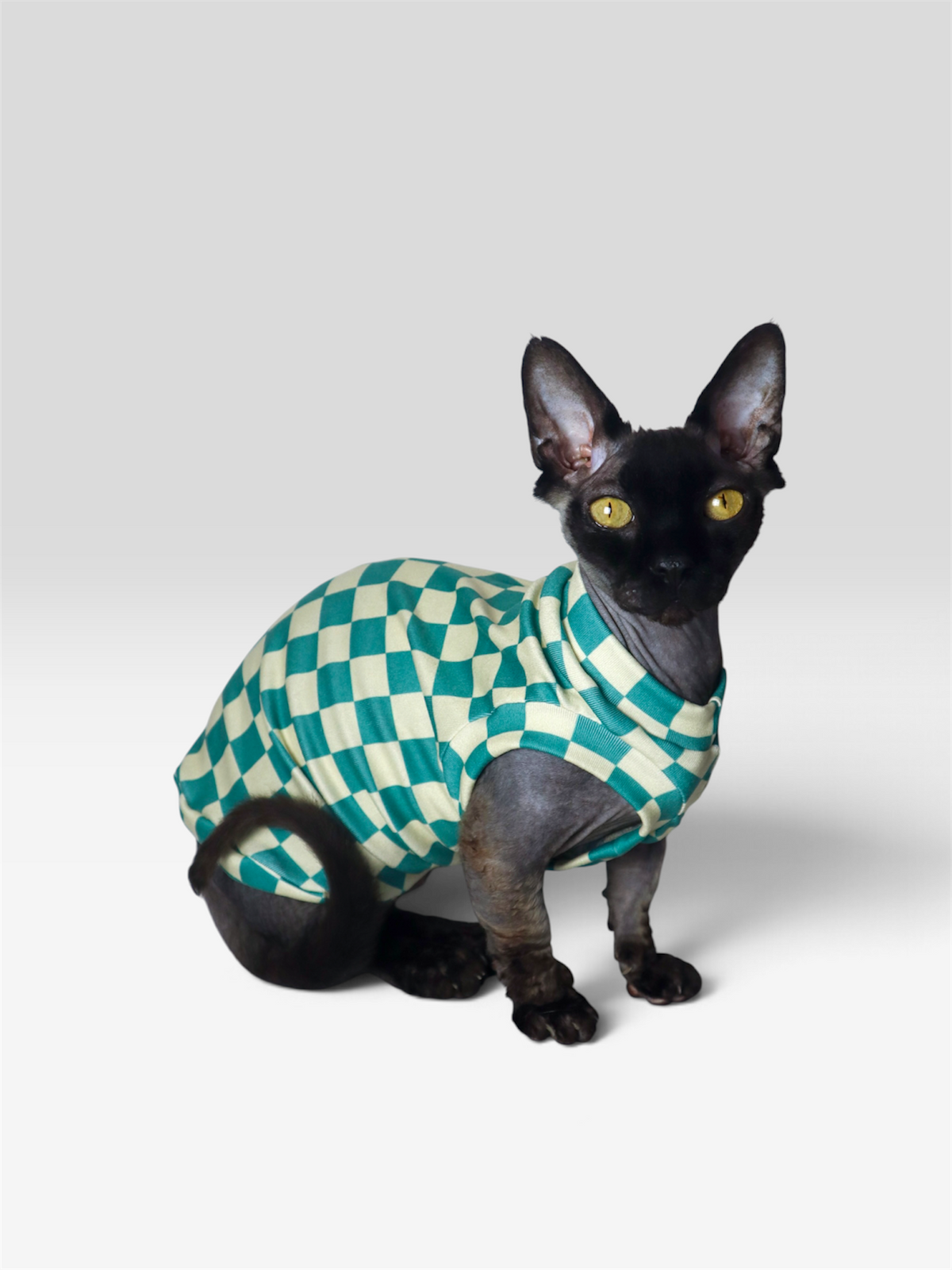 Vibe Check Butter Knit Shirt