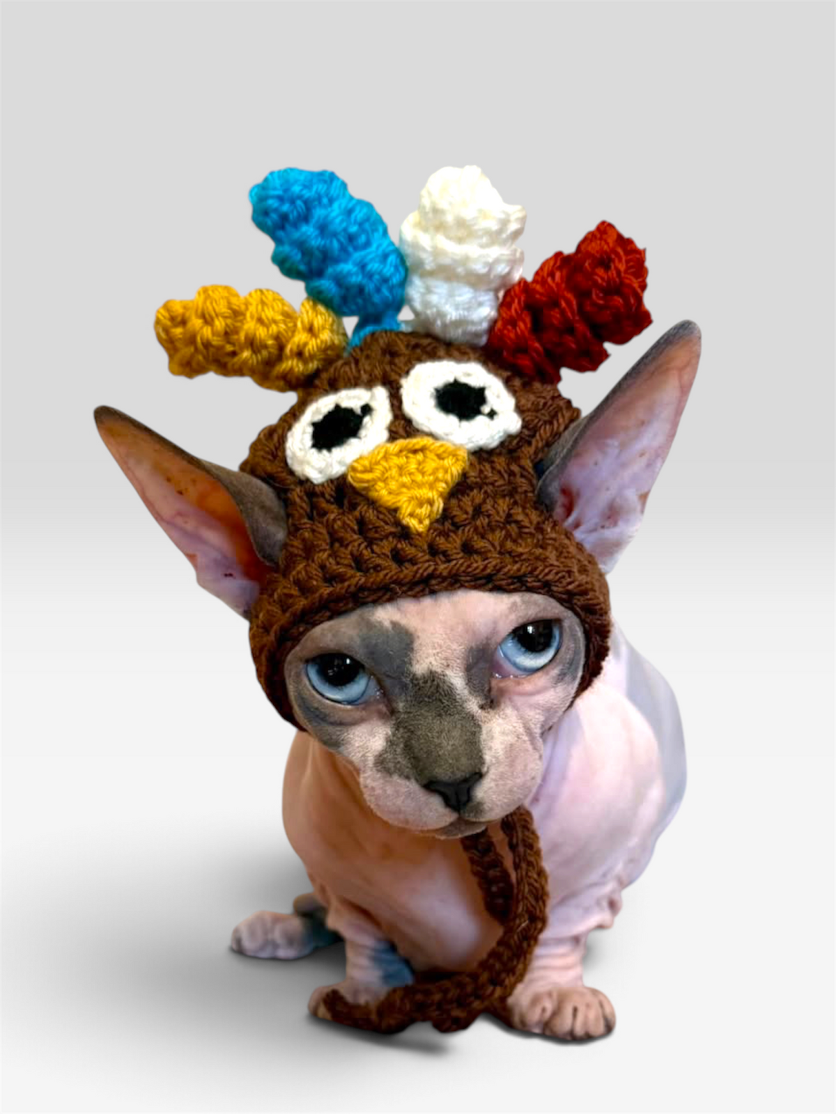 Teal Turkey Knit Hat