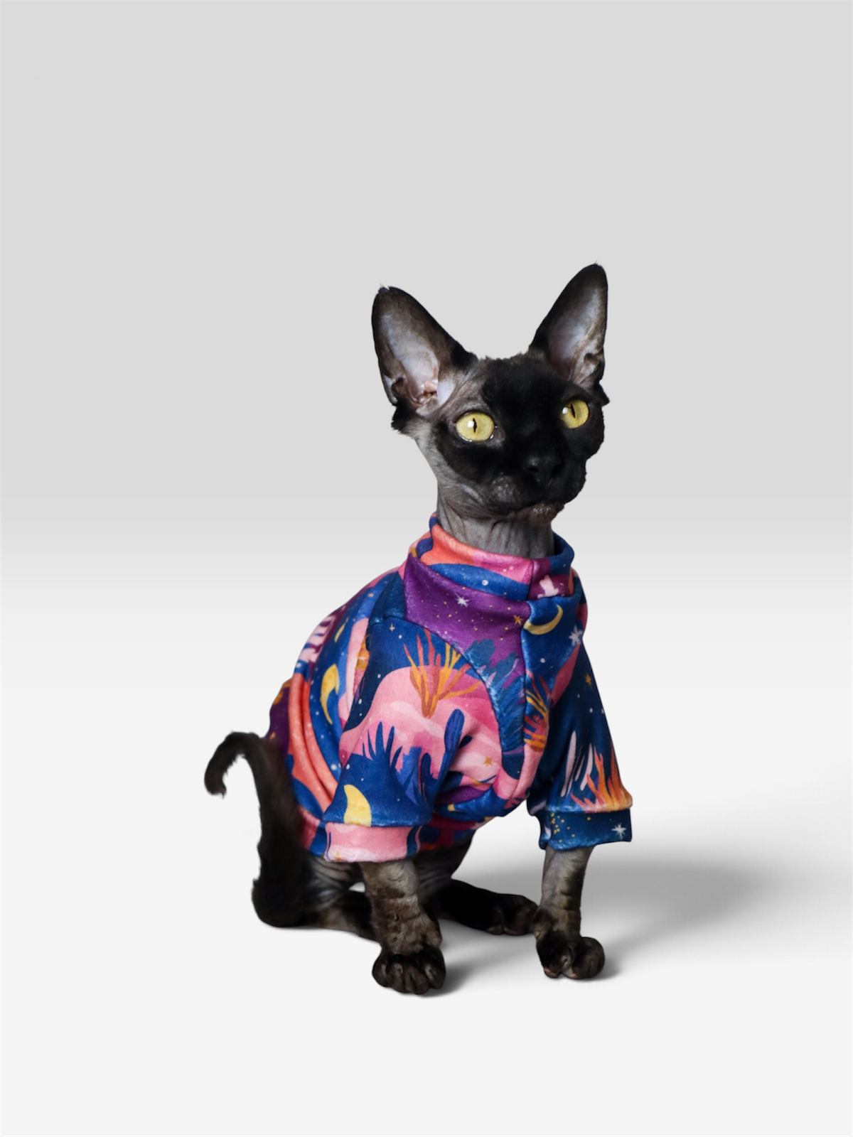 Desert Moon Long Sleeve Fleece Shirt