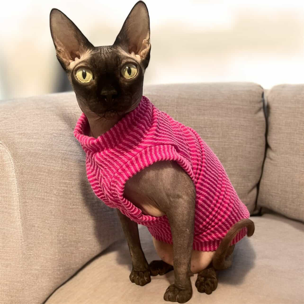 Raspberry Chunky Ribbed Shirt
